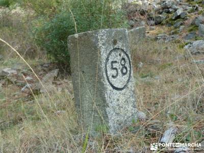 El mágico Castañar de El Tiemblo;senderismo por libre senderismo fácil power walking madrid